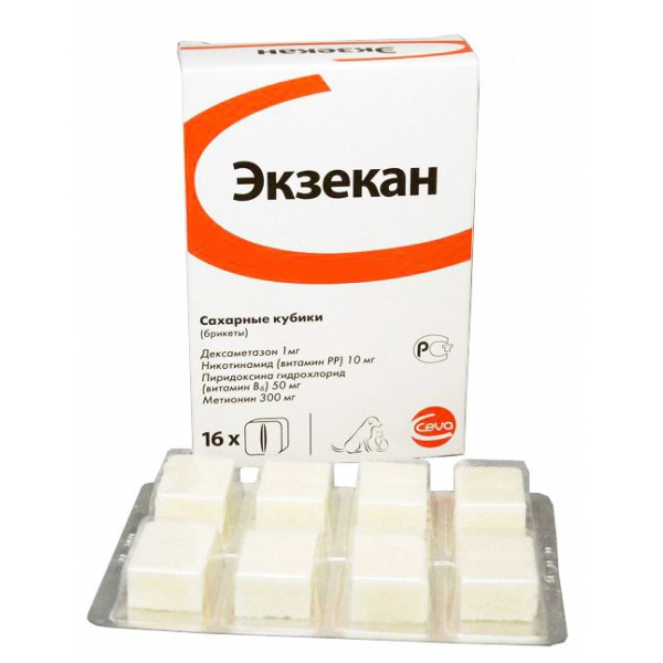 execan